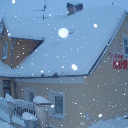 Penzion Hamrák Ceske Hamry Exterior foto