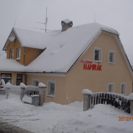 Penzion Hamrák Ceske Hamry Exterior foto