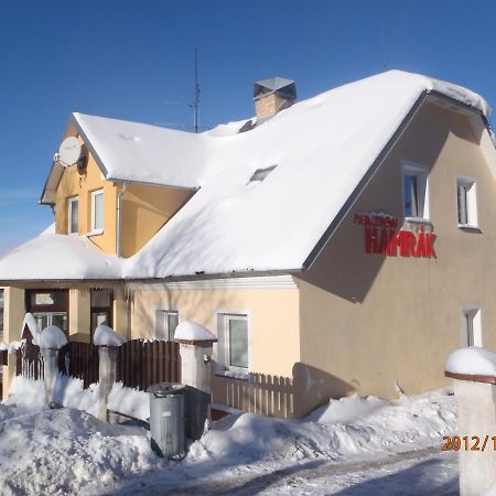 Penzion Hamrák Ceske Hamry Exterior foto