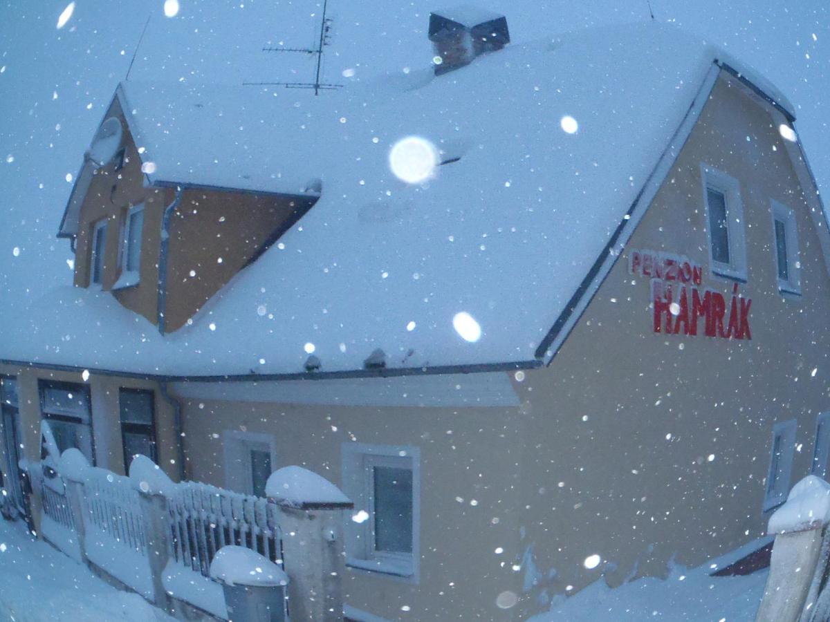 Penzion Hamrák Ceske Hamry Exterior foto