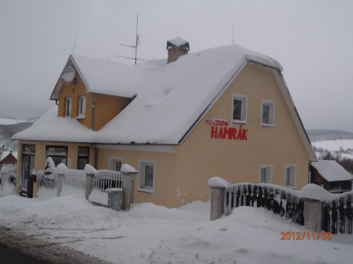 Penzion Hamrák Ceske Hamry Exterior foto