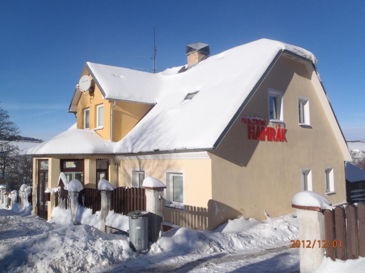 Penzion Hamrák Ceske Hamry Exterior foto