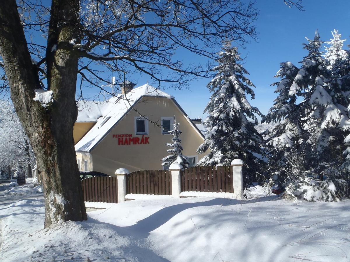 Penzion Hamrák Ceske Hamry Exterior foto